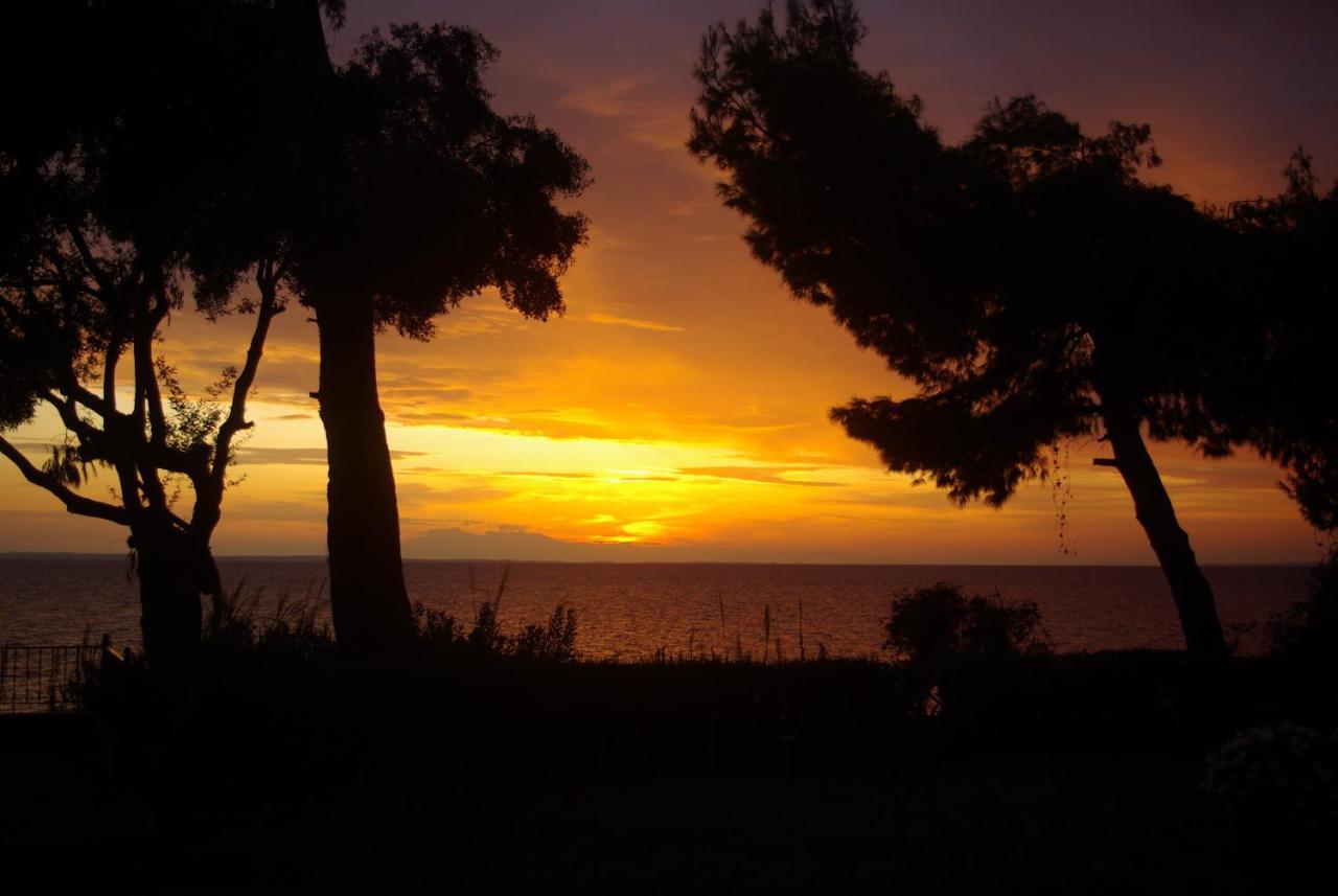Seafront Studio - Akti Elia Nikiti  Luaran gambar